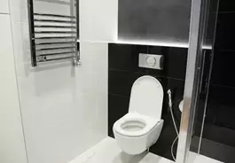 "ניאגרה סמויה, כשמה כן היא – מיכל הדחה שאינו גלוי לעין ובדרך כלל מותקן מאחורי קיר"